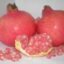 GRANADAS - Variedad MOLLAR -