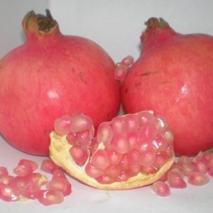 GRANADAS - Variedad MOLLAR -