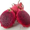PITAYA - FRUTA DEL DRAGÓN