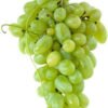 UVA BLANCA - Variedad Dª MARÍA -