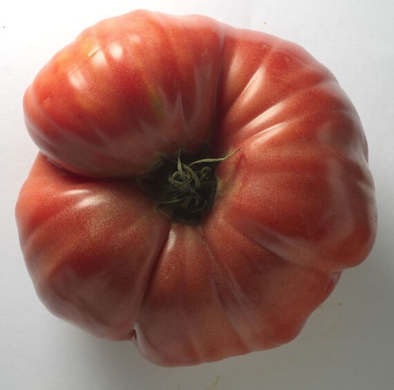 TOMATE DE ENSALADA - ROSADO Grande