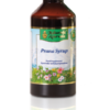 JARABE BRONQUIAL PRANA,   200ml