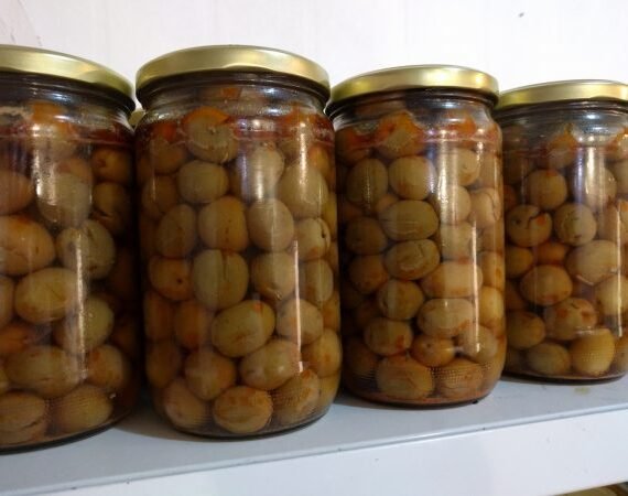 ACEITUNAS VEDICAS -ÚNICA- 1K.