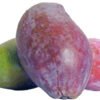 MANGOS  - VARIEDAD OSTEEN