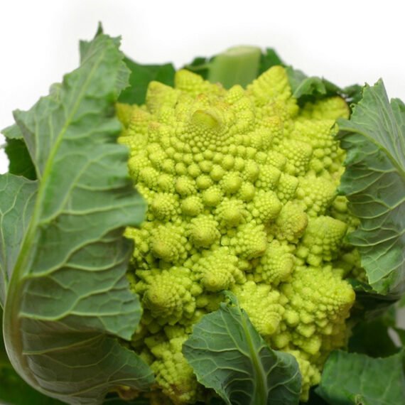 ROMANESCU