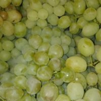 UVA BLANCA - Moscatel -