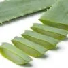 ALOE VERA FRESCO
