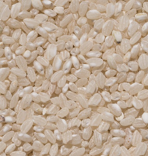 ARROZ REDONDO Blanco 1 kg