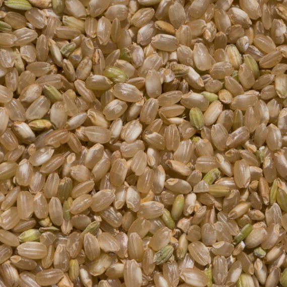 ARROZ REDONDO INTEGRAL Pack 1 kg