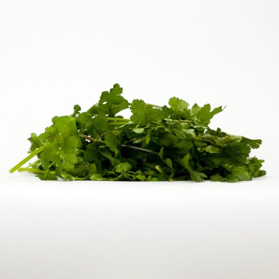 CILANTRO fresco manojo 80 Gr.