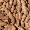 CURCUMA EN RAIZ