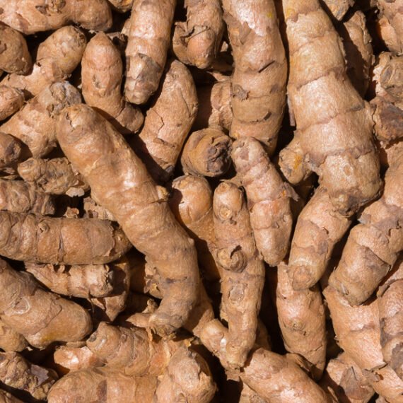 CURCUMA EN RAIZ