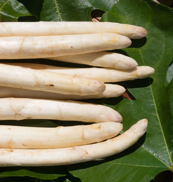 ESPARRAGOS BLANCOS manojo 250 gr