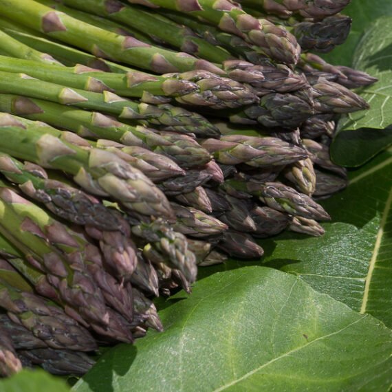 ESPARRAGOS VERDES  Manojo 250 gr