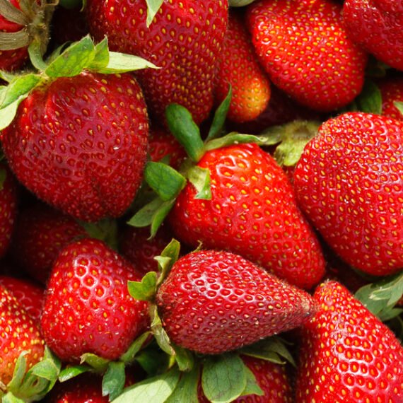 FRESAS pack 400 gr.
