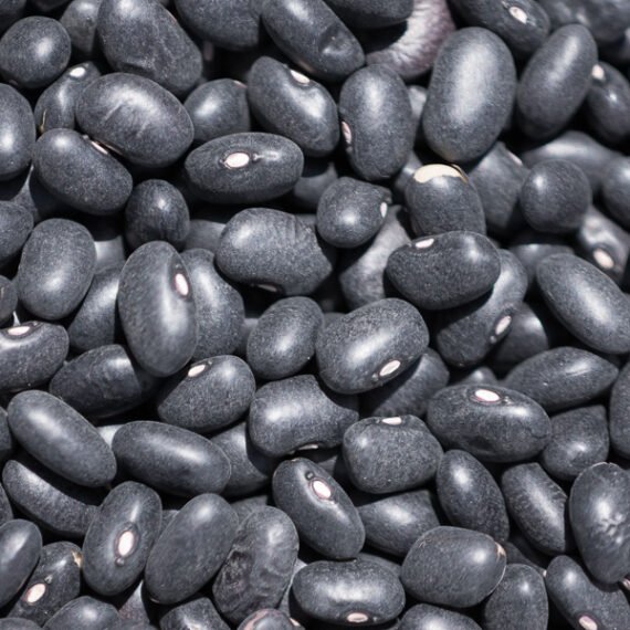 JUDIAS NEGRAS Pack 600 g