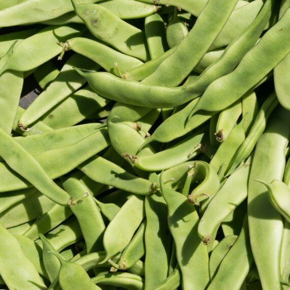 JUDIA VERDES Planas - Pack 400 g. -