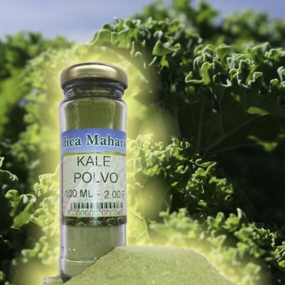 KALE DESHIDRATADA en POLVO