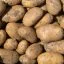 PATATAS BLANCAS  - Nueva Cosecha -