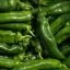 PIMIENTO VERDE ALARGADO