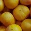 POMELO