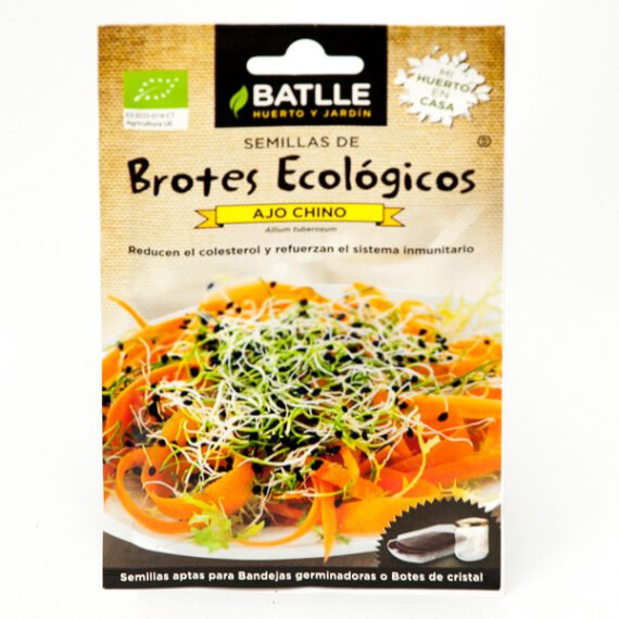 Semillas de AJO CHINO para germinar