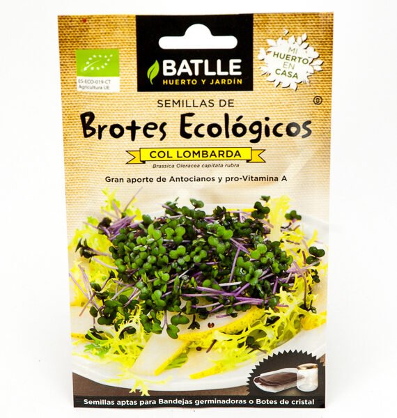SEMILLAS para cultivar de COL LOMBARDA