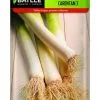 SEMILLAS para cultivar de PUERRO