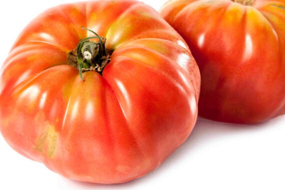 TOMATE FEO DE TUDELA - Maduro - Blando