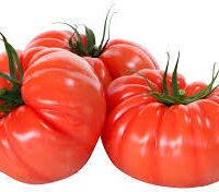 TOMATE REDONDO