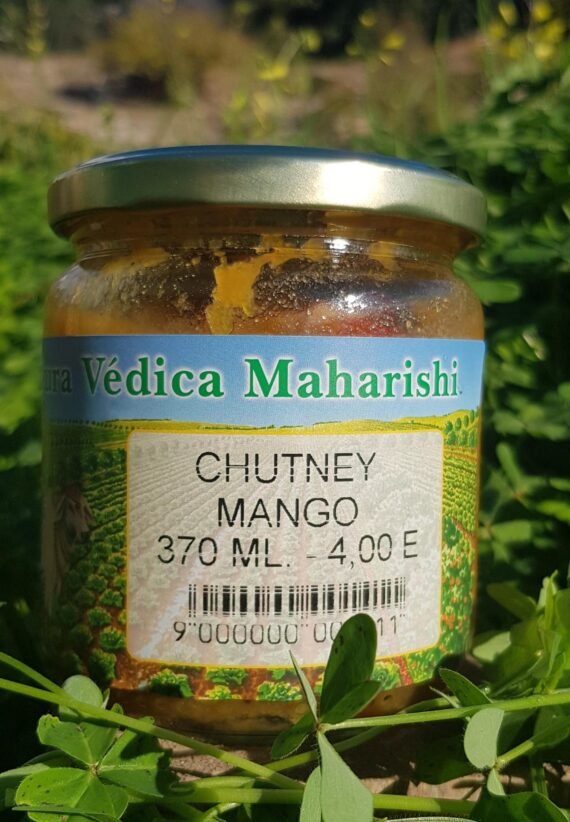 CHUTNEY de MANGO