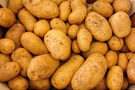 PATATAS BLANCAS - Carne Amarilla - PACK 3 KG