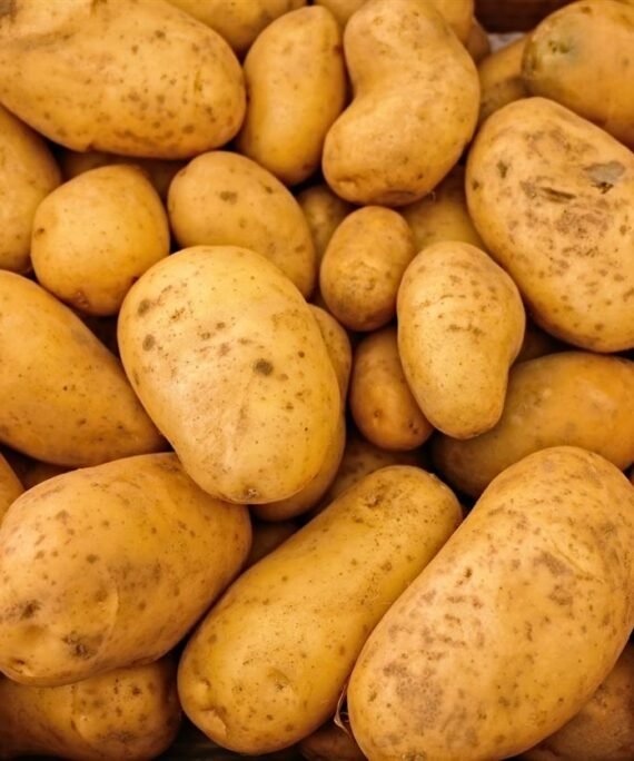 PATATAS BLANCAS - Carne Amarilla - PACK 3 KG