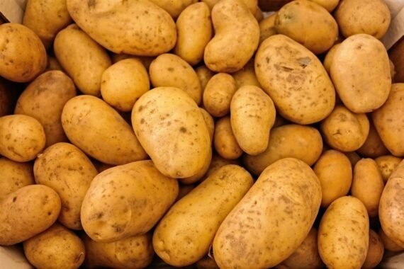 PATATAS BLANCAS - Carne Amarilla -