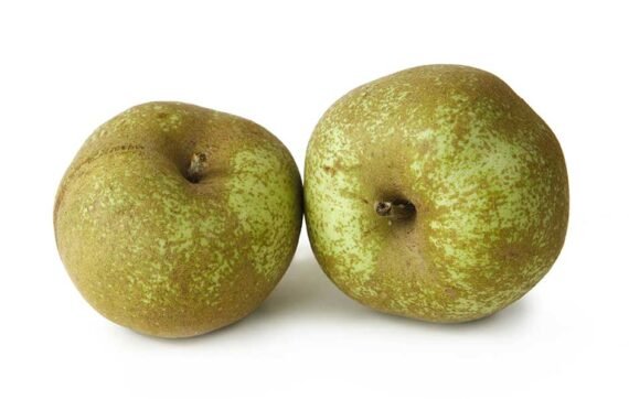 MANZANA REINETA
