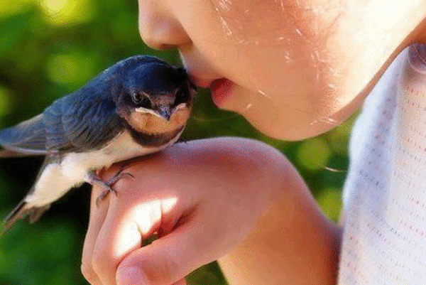 AMAR A LOS ANIMALES, SIEMPRE, PERO A TODOS.