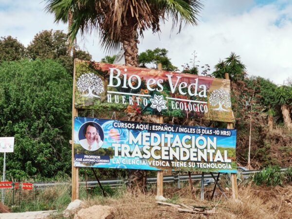 Gran variedad de frutas, verduras y productos ecológicos de calidad. Atención en varios idiomas. ¡Ven a conocernos y elige tú mismo lo que te llevas!
