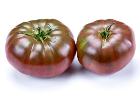 TOMATE AZUL (Txapeldun)